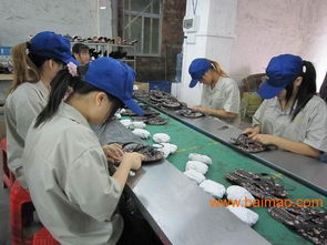 東莞安盈檢品工廠 專業(yè)為出口日本市場(chǎng)提供100%檢查服務(wù)、廠家直銷與價(jià)格優(yōu)勢(shì)